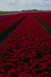 Similar image 22353549