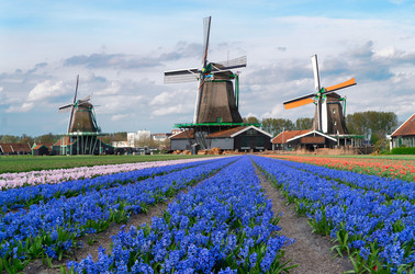 Similar image 22353552