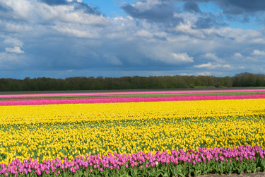 Similar image 22353561