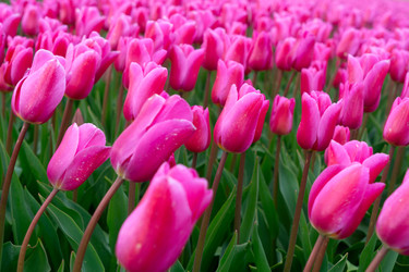 Similar image 22353567