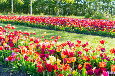 Similar image 22353573