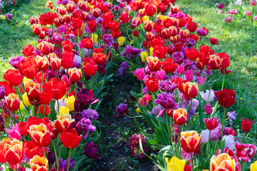 Similar image 22353579