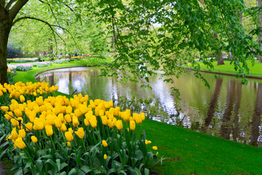 Similar image 22353597