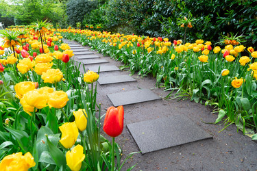 Similar image 22353603