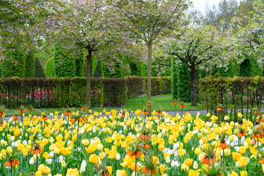 Similar image 22353621