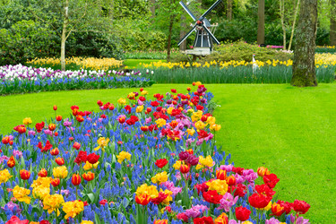 Similar image 22353633