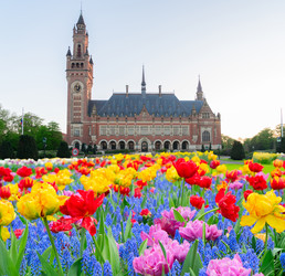 Similar image 22353636