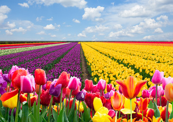 Similar image 22353660