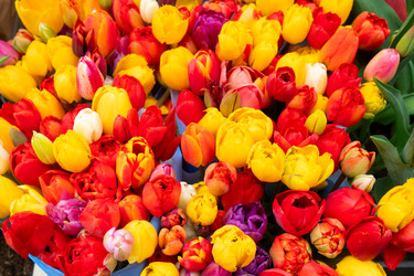 Similar image 22353721