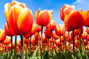 Similar image 22353741