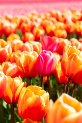 Similar image 22353742