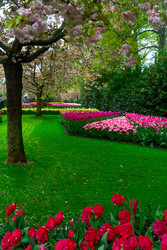 Similar image 22353744