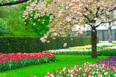 Similar image 22353747