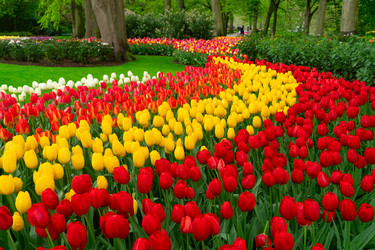 Similar image 22353750