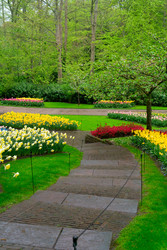 Similar image 22353760