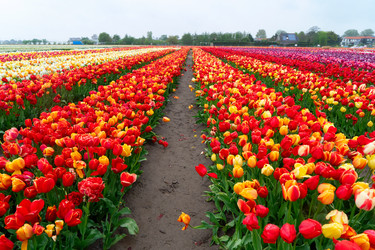 Similar image 22353765