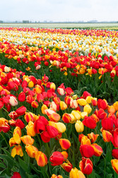 Similar image 22353768