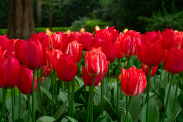 Similar image 22353771