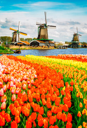 Similar image 22353772