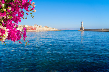 Similar image 22353904