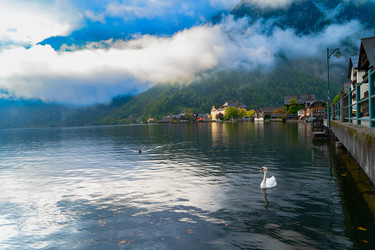 Similar image 22354275