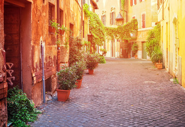 Similar image 22353604