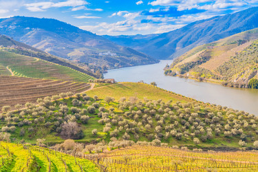 Similar image 22353865