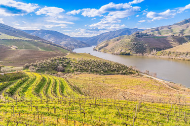 Similar image 22353905