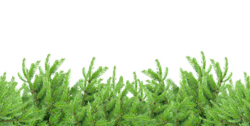 Similar image 22364914