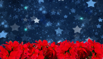 Similar image 22364359