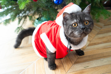 Similar image 22364481