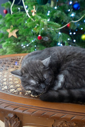 Similar image 22364482