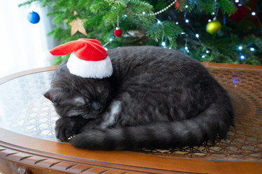 Similar image 22364494