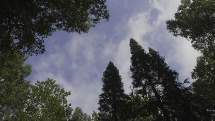 Similar image 22371055