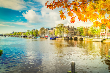 Similar image 22364610