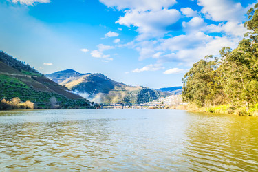 Similar image 22351661