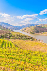 Similar image 22353544