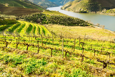 Similar image 22353551