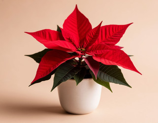 Similar image 22385767