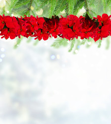 Similar image 22364630