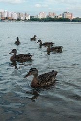 Similar image 22358732