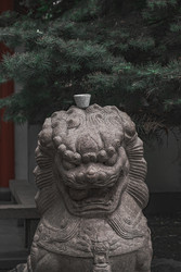 Similar image 22370731