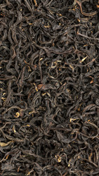 Similar image 22370904