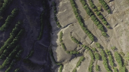 Similar image 22371084