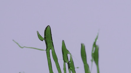 Similar image 22370613