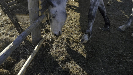 Similar image 22371210