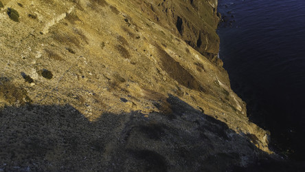 Similar image 22370861