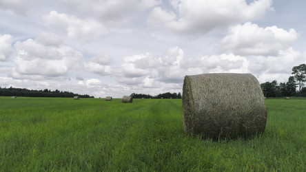 Similar image 22370939