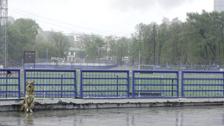 Similar image 22370786