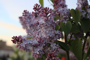 Similar image 22348607